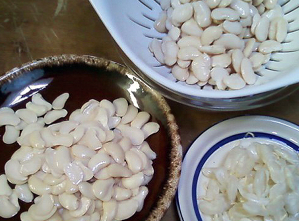 Rehydrated Lima beans being peeled