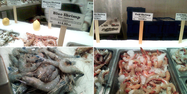 The Lobster Place: Shrimp Selection
