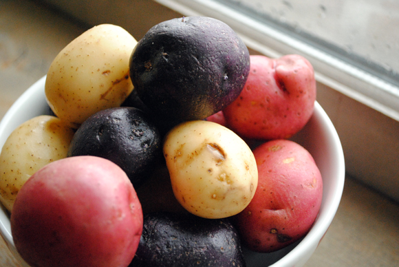 Red, White, and Purple Baby Potatoes