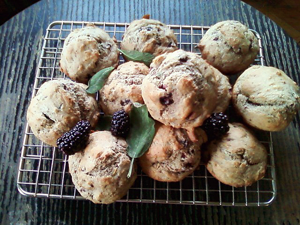 Blackberry Wheat Muffins