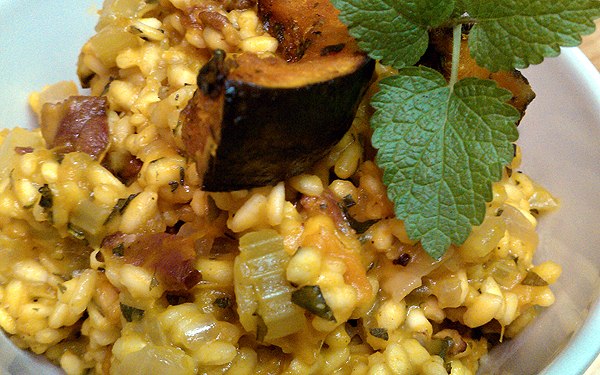 Roasted Turks Squash and Duck Bacon Risotto garnished with Lemon Balm.
