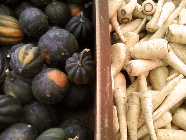 Acorn Squash and Parsnips from Bed-Stuy's Farm Share 2010.