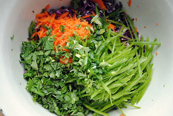 Shredded Red Cabbage and Snow Pea Salad before lightly tossing together.