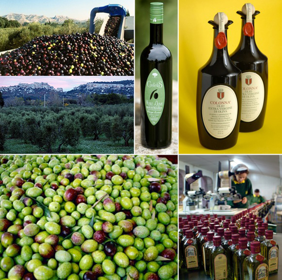 The production of fresh olives and olive oils