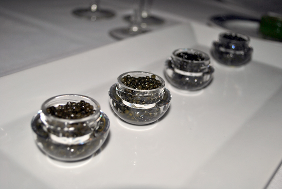 From left to right: Kaluga, Tsar Imperial Ossetra, Shasetra and Special Reserved Alverta Caviar.