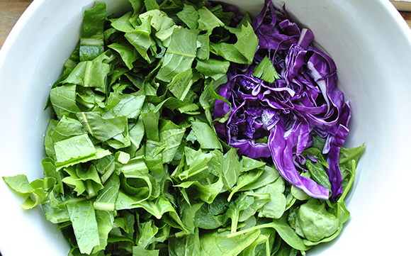 Dandelion, Baby Spinach and Red Cabbage Greens
