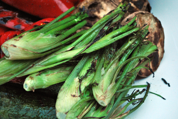 Grilled Baby Fennel